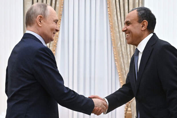 Путин: РФ и Египет могли бы обсудить создание зернового хаба в республике