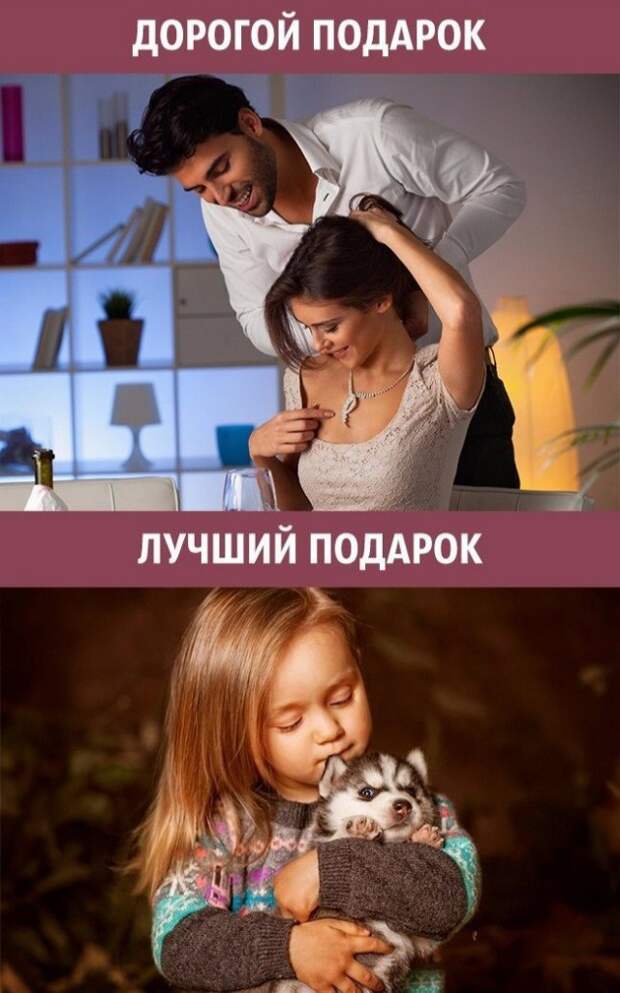 Важные вещи, которые познаются в сравнении (9 фото) Важные вещи, которые познаются в сравнении (9 фото)