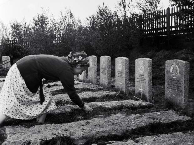 Жительница Мурманска убирает могилу на кладбище американских и английских моряков, погибших во время Великой Отечественной войны Фото: В. Козлов