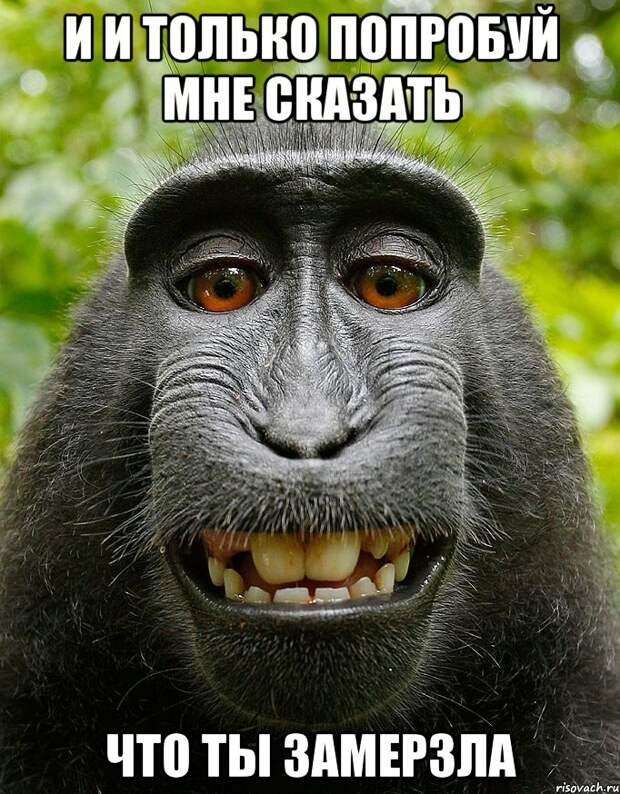 Картинки по запросу ЗАМЕРЗЛА