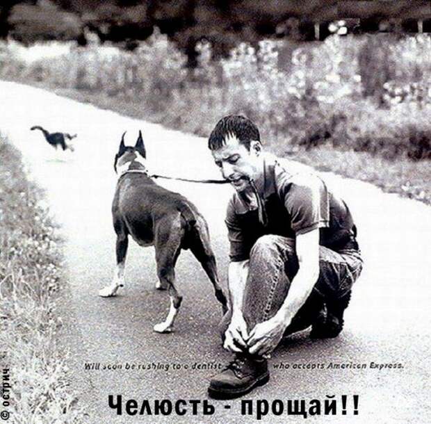 Прикольные картинки Прикольные картинки