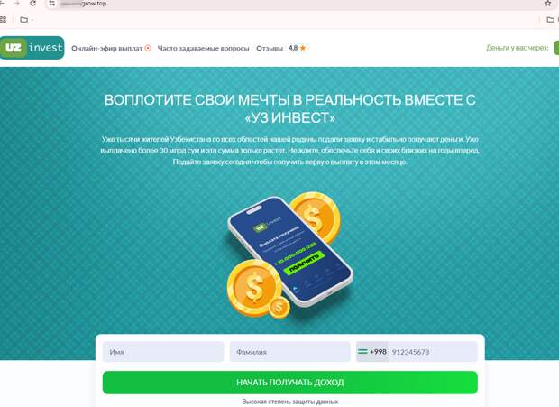 Net Fraud