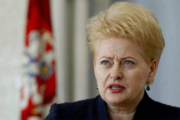 Российское посольство в Литве хотят заставить освободить дом рядом с резиденцией главы государства