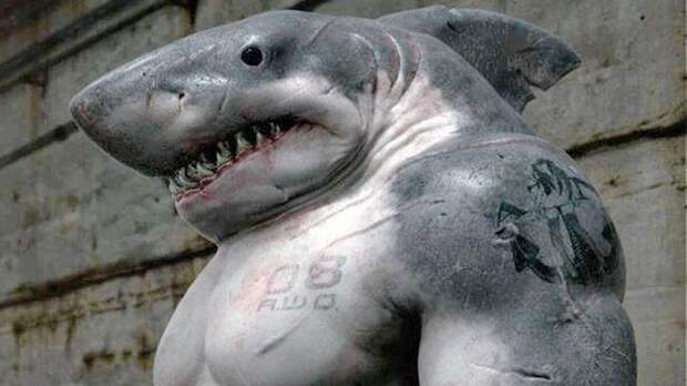 Украина выбирает памятник акуле, напавшей на гражданина России