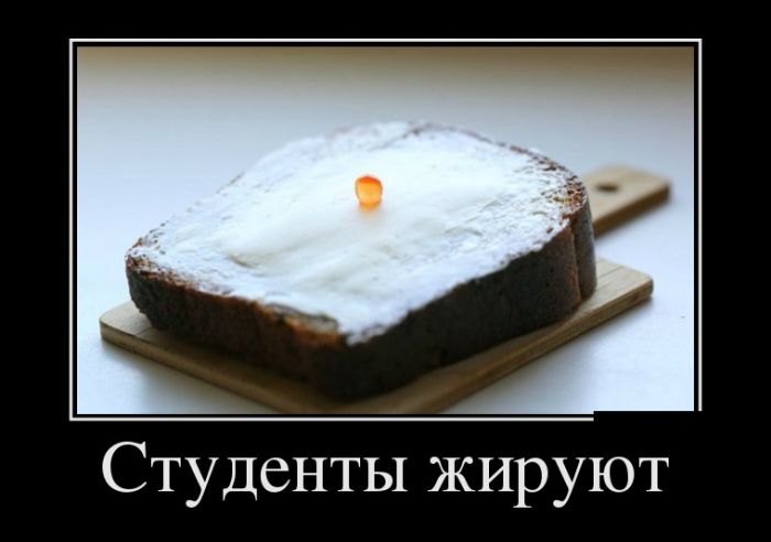 Позитивные и прикольные демотиваторы (11 фото)