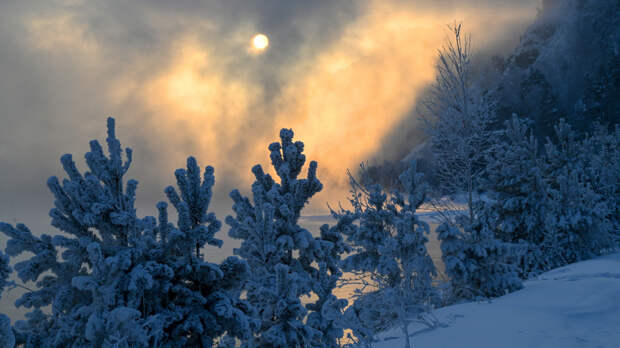 Исчез вслед за семьей? Сын Усольцевых перестал выходить на связь