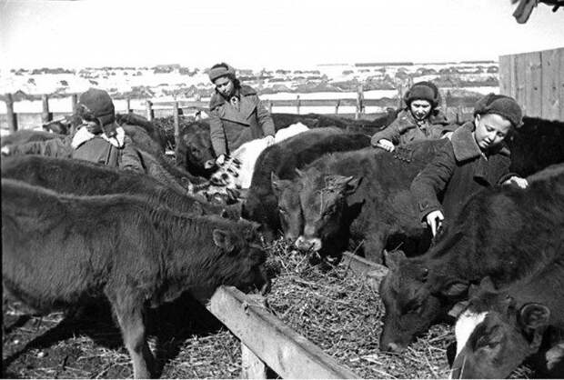 Какими были советские школьники