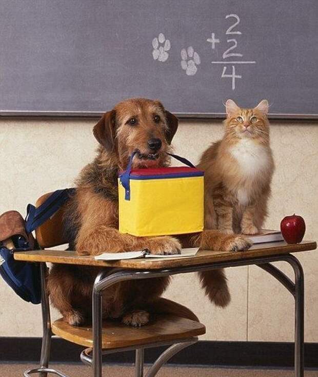 Давайте улыбаться вместе :)