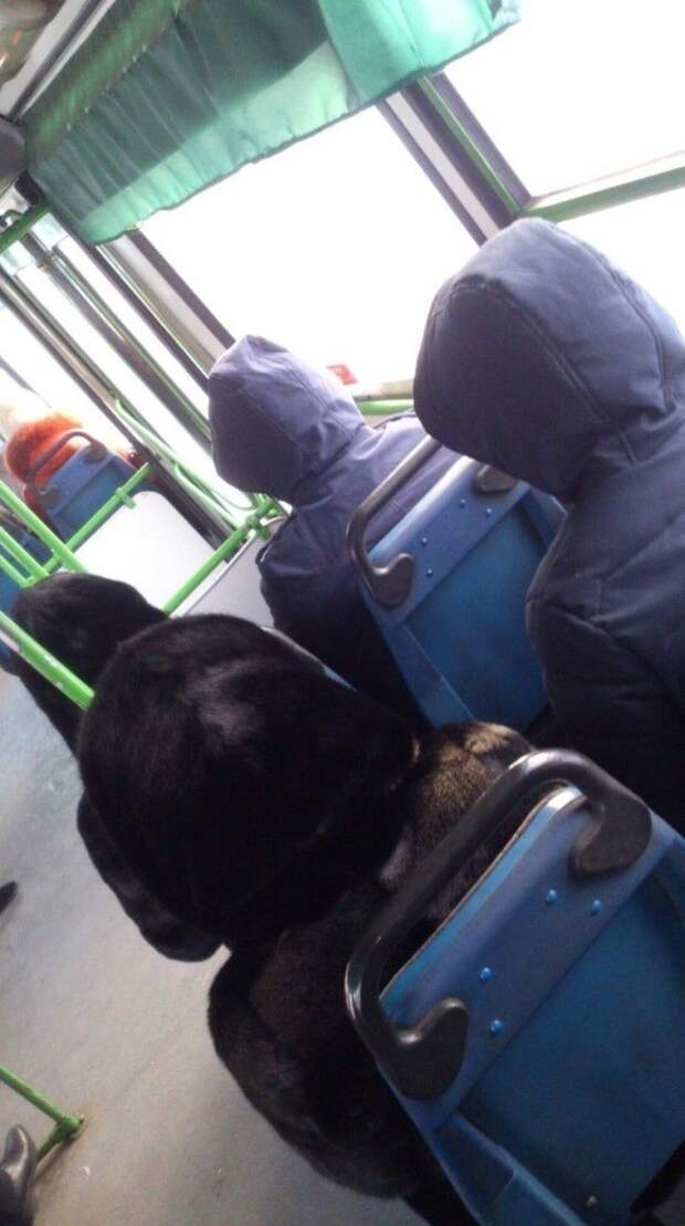 Copy + Past или сбой в матрице Copy Past или сбой в матрице