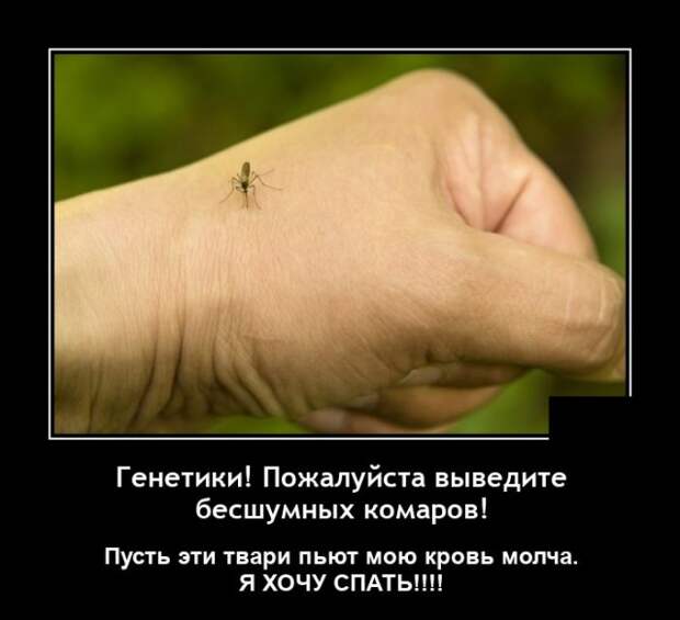 Демотиваторы 27 мая 2021