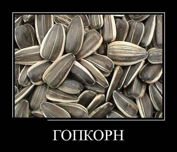 Демотиваторы (30 фото)