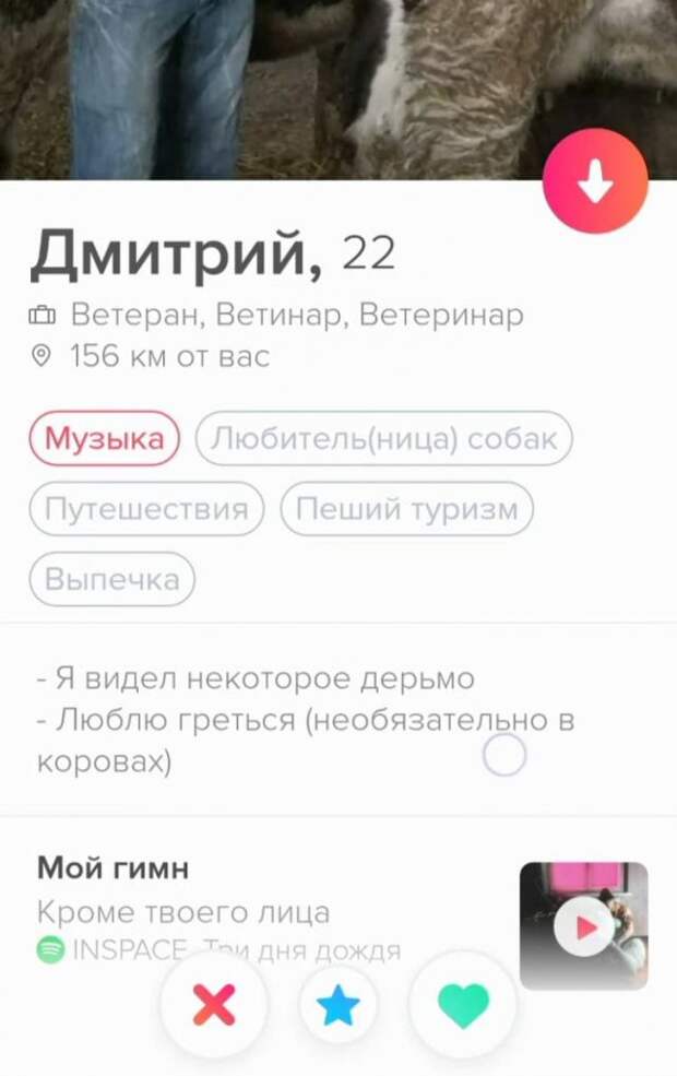 Забавные и смешные анкеты из приложения для знакомств Забавные и смешные анкеты из приложения для знакомств