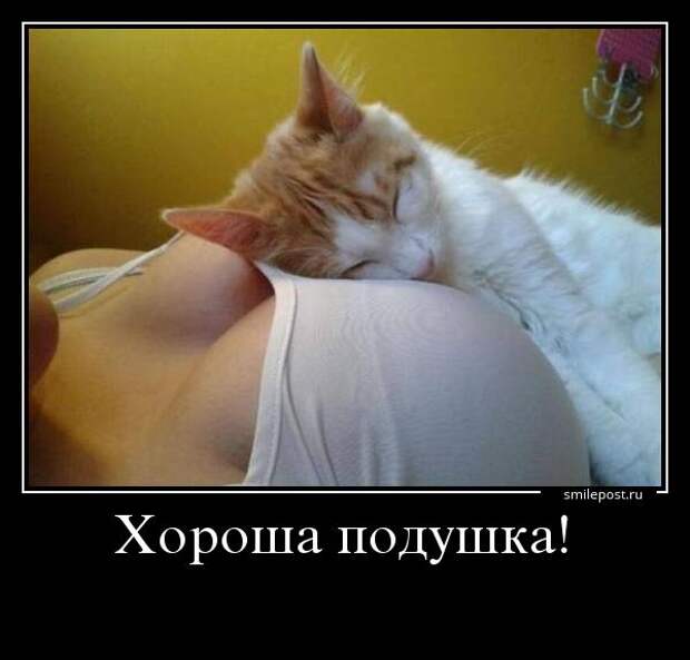 Прикольные демотиваторы для хорошего настроения (11 фото) Прикольные демотиваторы для хорошего настроения (11 фото)