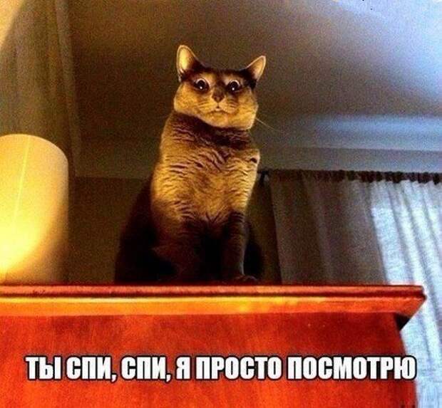 Прикольные картинки. Вечерний выпуск (59 фото)