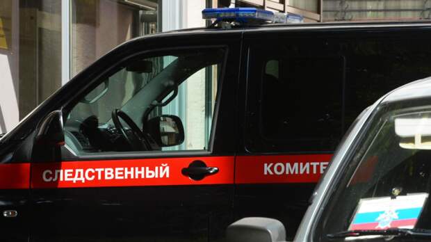 Бастрыкин запросил доклад о нападении собак на ребёнка под Красноярском