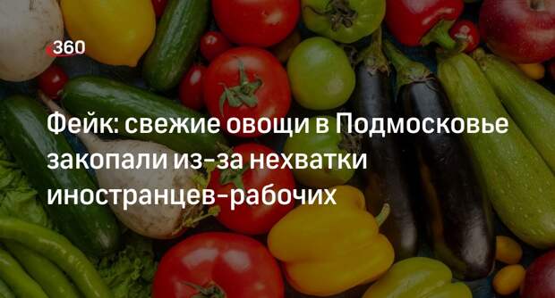 Комбинат «Луховицкие овощи» утилизировал не свежую, а некачественную продукцию
