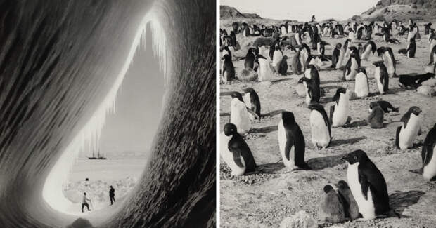 Фотографии смерти: документальный репортаж о гибельной экспедиции Роберта Скотта к Южному полюсу исследования, исторические фотографии, последний поход, экспедиция, южный полюс