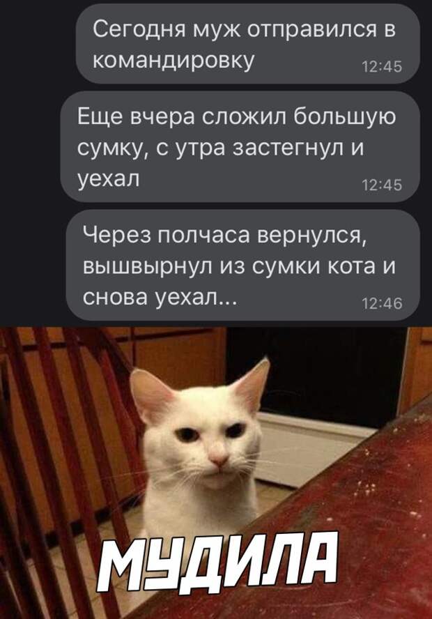 Смешные картинки 8 апреля 2021