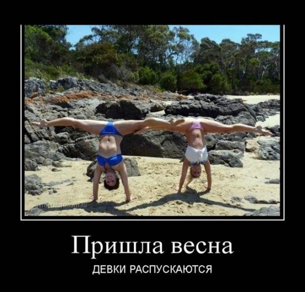 Позитивные демотиваторы для ценителей (11 фото) Позитивные демотиваторы для ценителей (11 фото)