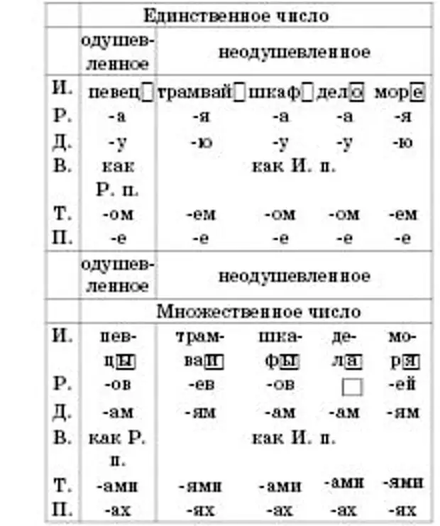 Склонение существительных на ий ие ия презентация 5 класс