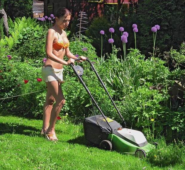 Регулярное скашивание глушит сорняки, но главное, что без лишнего труда вы приведете сад в порядок