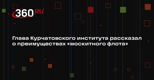 Глава Курчатовского института рассказал о преимуществах «москитного флота»