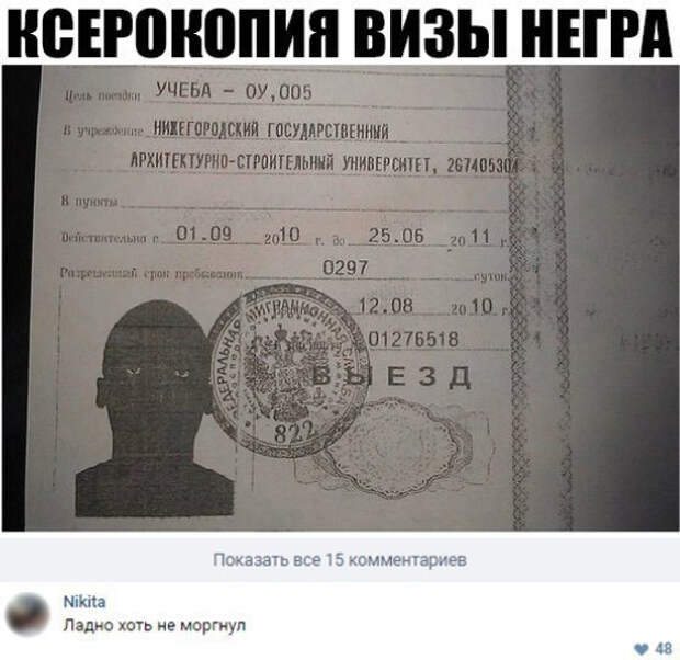 Смешные картинки прикол, юмор