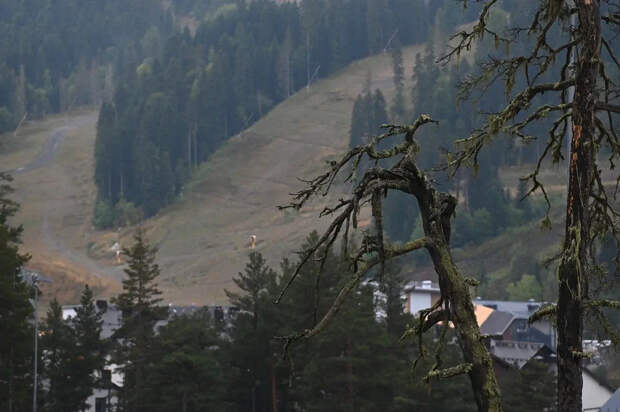 SHOT: люди массово покидают район Манской «петли смерти», где пропали Усольцевы