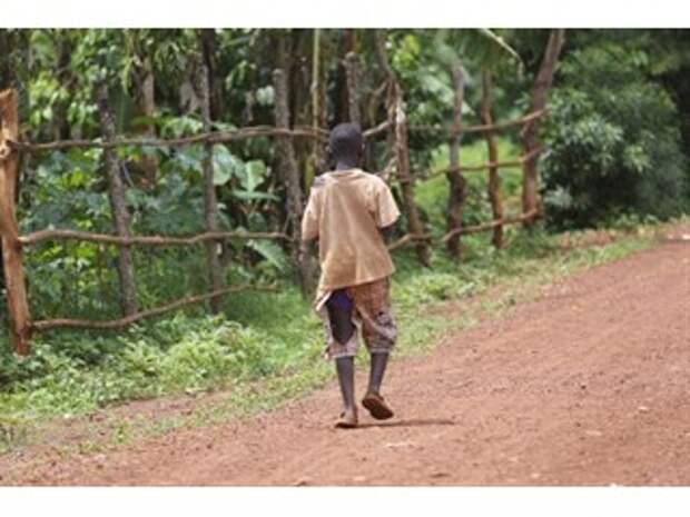 Антропология неравенства: накануне глобальной революции