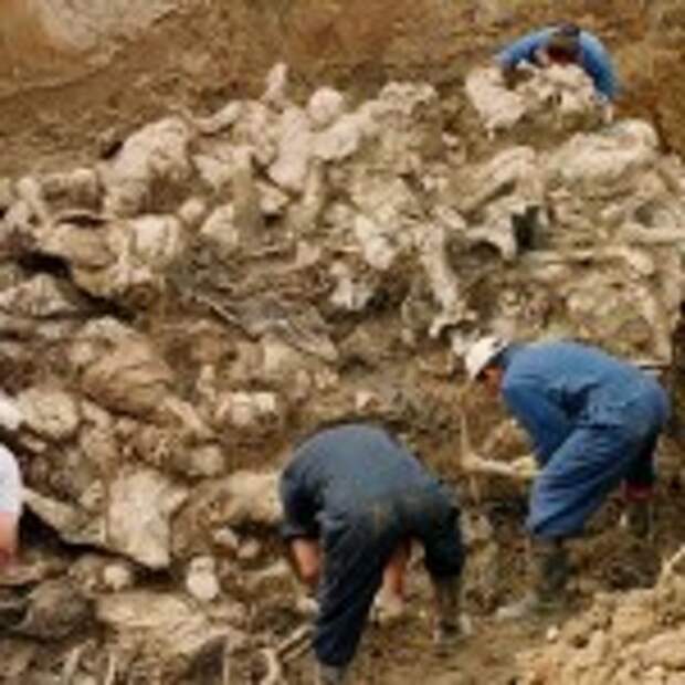 PILICA MASS GRAVE