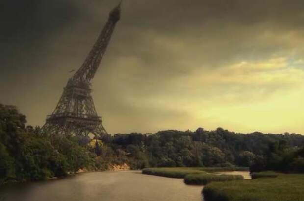 «Угроза миру»: учёные бьют тревогу из-за разрушительного «вторжения»