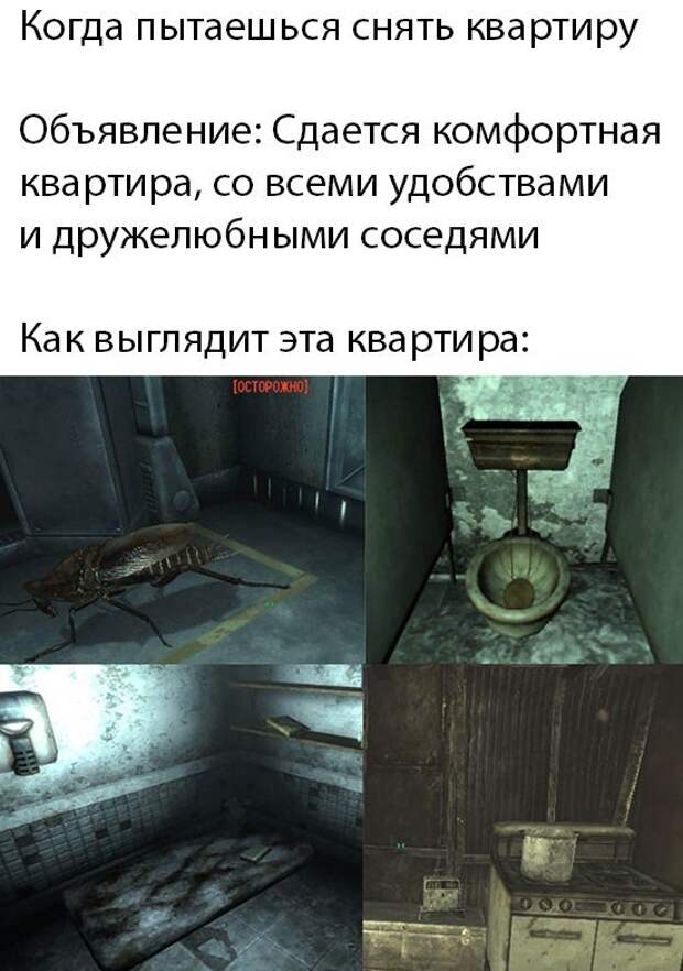 Немного картинок для настроения