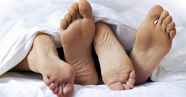 Жена вернулась домой и обнаружила 2 пары ног, торчащих из-под одеяла.