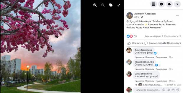 Фото дня: красивая и искусственная сакура