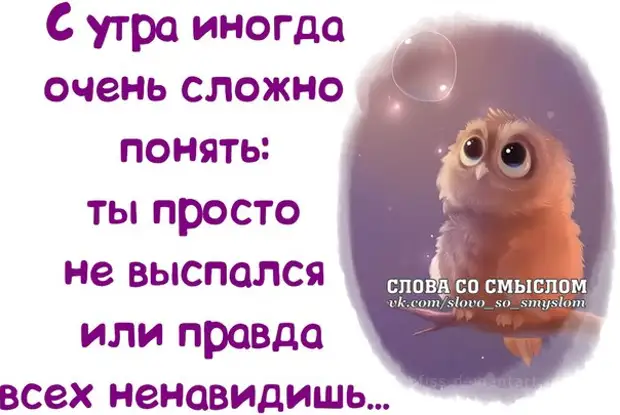 Смешные картинки статусы для ватсапа