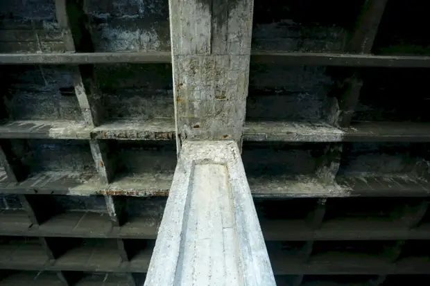 «Братство» кольца. Когда перекроют движение по проспекту Ленина и как будет ходить транспорт