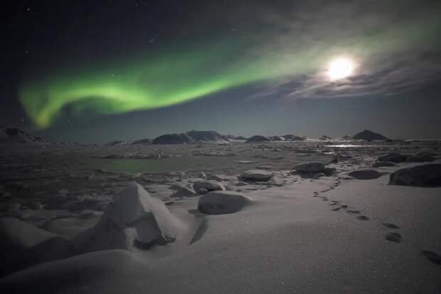 Что нашла международная исследовательская группа в темноте арктической ночи