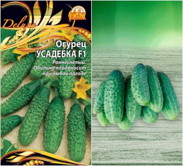 огурец усадебка