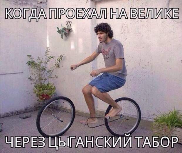 Смешные картинки с надписями прикол, юмор