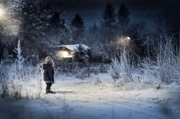 Одной зимней ночью. Автор: Iwona Podlasinska.