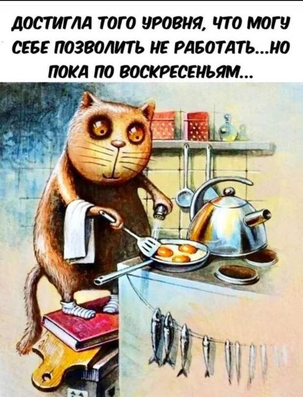картинки прикольные смешные (11)