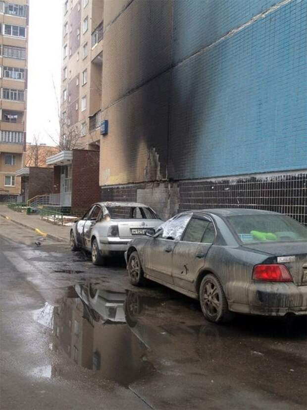 Подборка народных штрафов для гореводителей авто, дтп