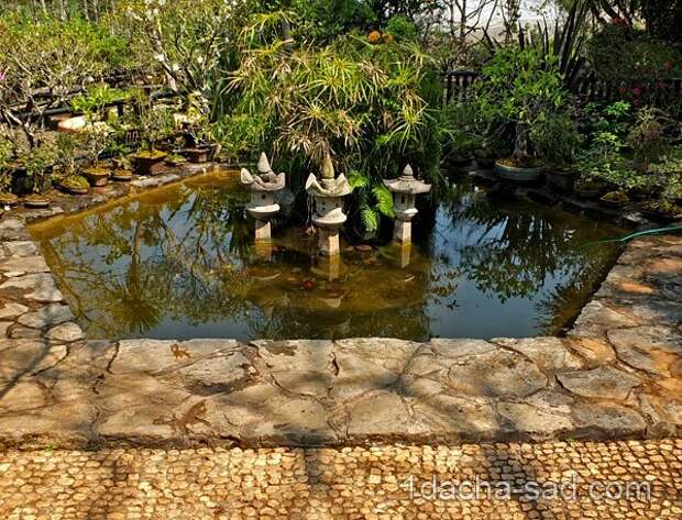 японский сад на даче фото (5)