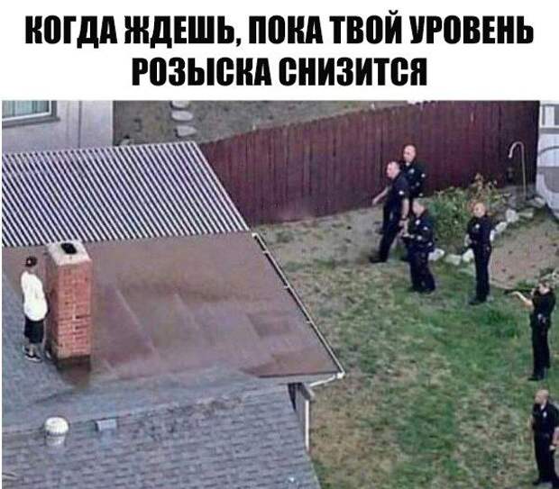 Смешные и ржачные картинки с надписями со смыслом (11 фото)