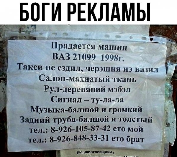 Картинки с надписями, истории и анекдоты