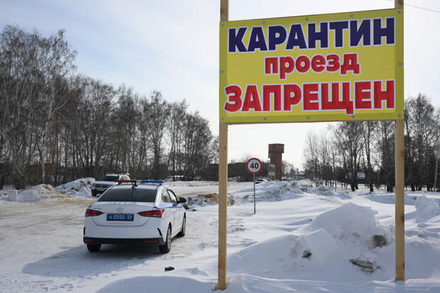 Травников: новосибирским семьям выплатили 45 млн рублей за изъятие скота