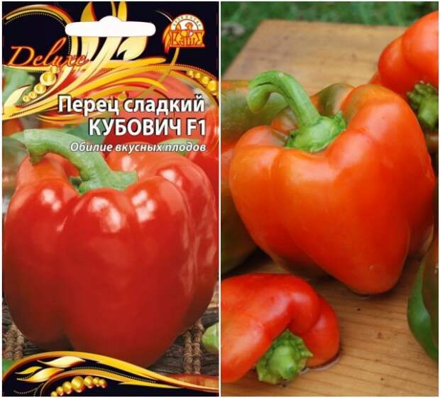 перец кубовиич