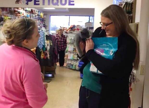 man-proposes-girlfriend-tiny-rescue-cat-vinegret-5