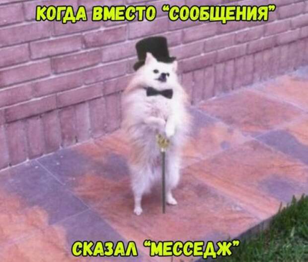 Новые прикольные фотомемы (22 шт)