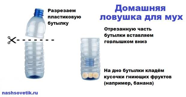 Ловушка для мух из пластиковой бутылки и банана